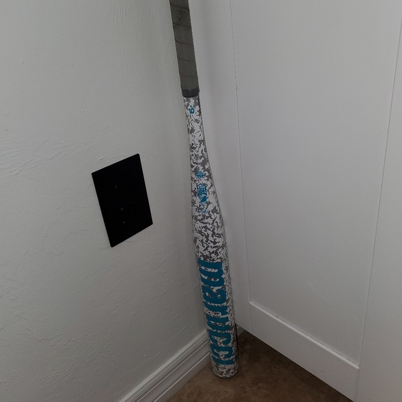 Great bat - Picture 4 of 7